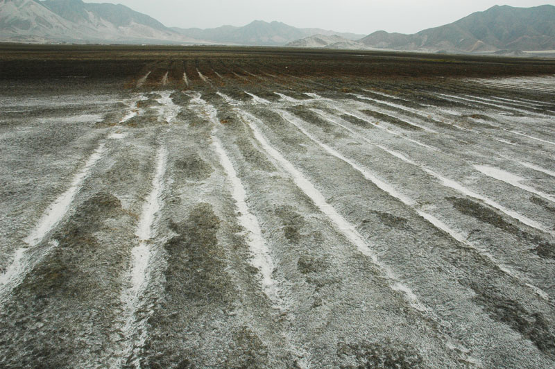 Chao irrigation, La Libertad, Peru