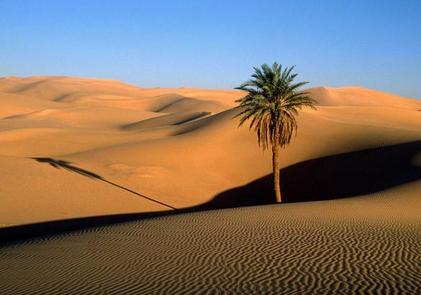 El desierto del Sahara