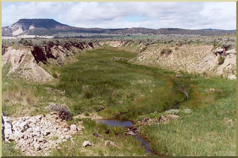 Vista panormica de la Quebrada Camp, en el este de Oregn, creada debido al sobrepastoreo de la llanura de inundacin. 