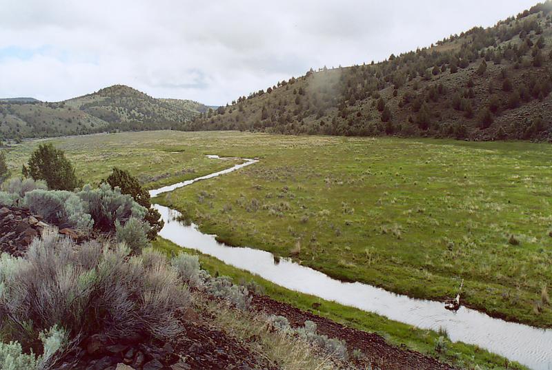 Camp Creek, near Prineville, Oregon.