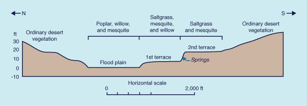 Vegetational gradient along a cross section of the 
Mohave river valley