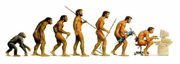 evolution of man