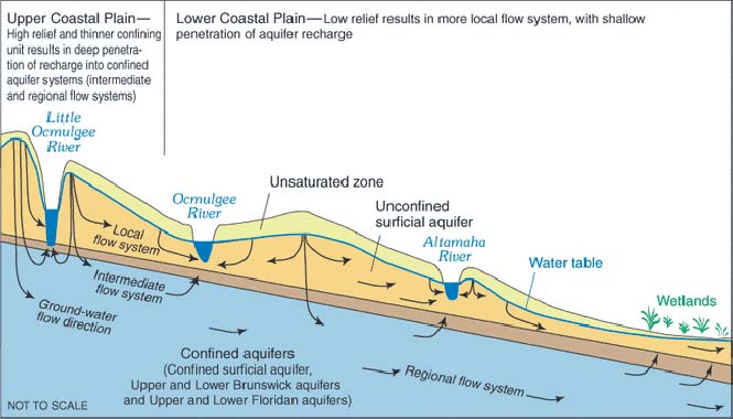 Interaction of surface and groundwater in the coastal plains of Georgia..