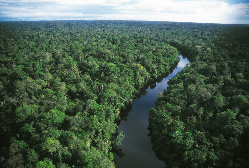 The Amazon rainforest, which produces 1/6 of the fresh water on Earth