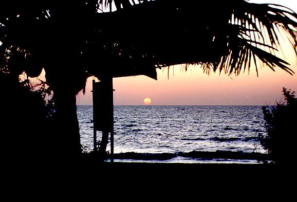 Sunset on the Arabic Ocean at Calangute Beach, Goa, South India, December 31,
1991. 