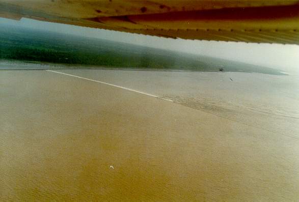 Amazon tidal wave, or pororoca, on the estuary of the Araguari river, Amapa, Brazil, at 8 am,  January 22, 198
