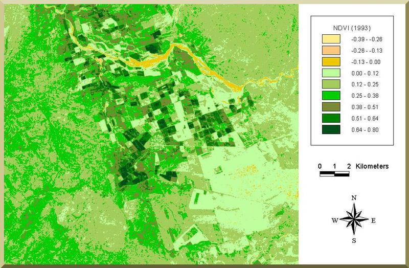 NDVI photo of the Ojos Negros valley