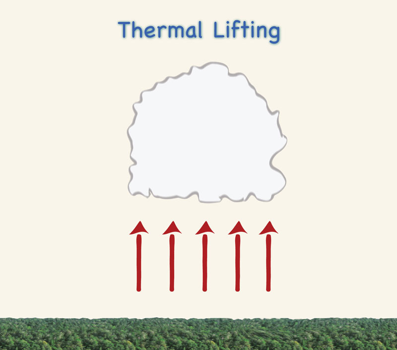 (d) thermal effects