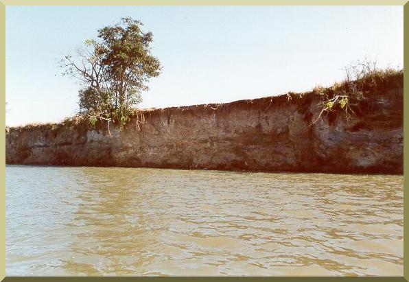 Bank erosion on the Rio Apa, along the border between Brazil and Paraguay