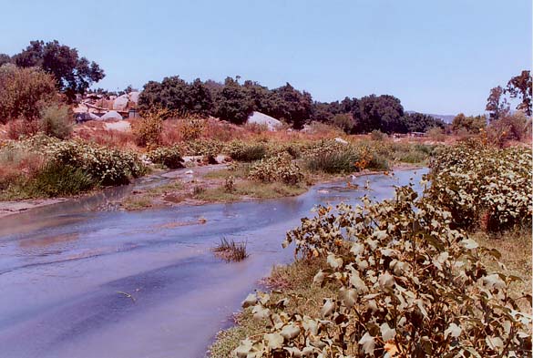 The Tecate river at Tecate, Baja California, Mexico  (km 7+600)