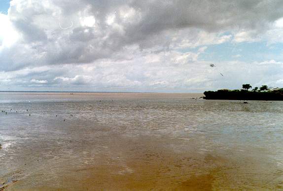 Mouth of the Amazon river at Macapa, Brazil (1989)