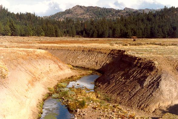 Dotta Creek, in the Feather river watershed, Northern California (1989)