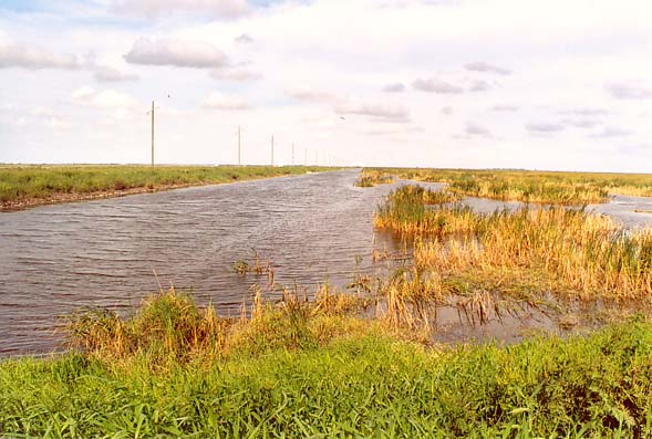 Everglades agricultural area, South Florida (2005)