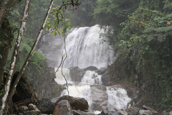 Waterfall along Loja-Zamora road, Ecuador (2014)