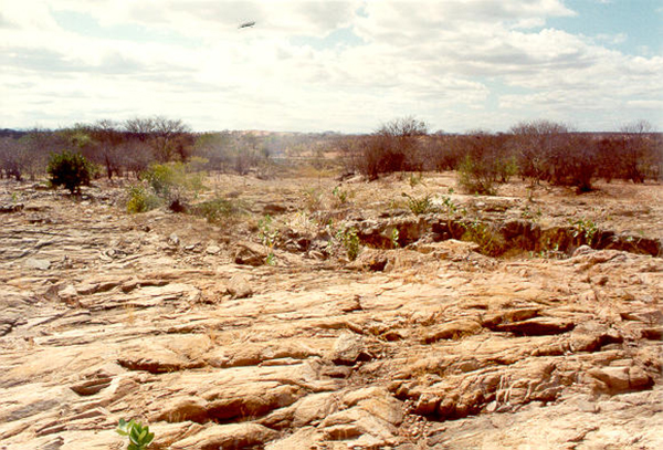 Riacho Feiticeiro In The Backlands Of Ceará Northeastern Brazil 1993