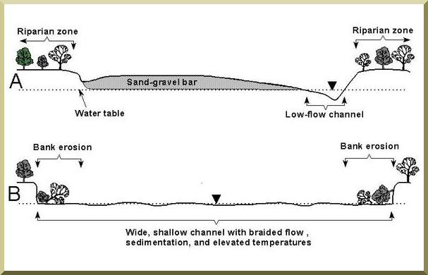 diagram of channel cross sections