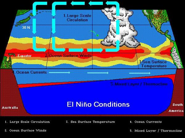 Non-El Nio conditions along the tropical Pacific Ocean