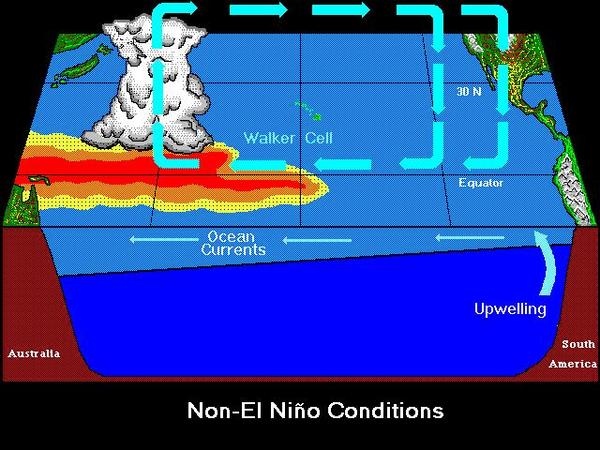Non-El Nio conditions along the tropical Pacific Ocean