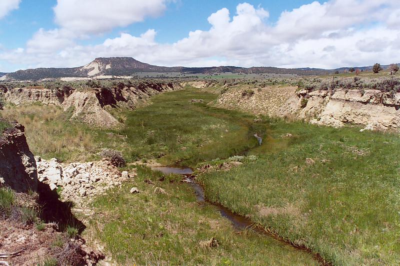 Camp Creek, near Prineville, Oregon.