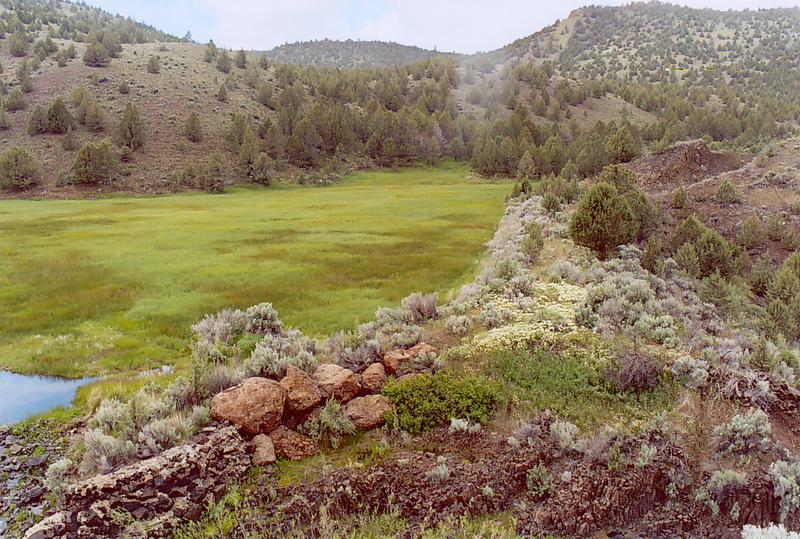 Camp Creek, near Prineville, Oregon.