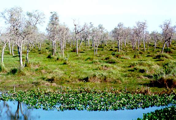 catchment wetting and water balance