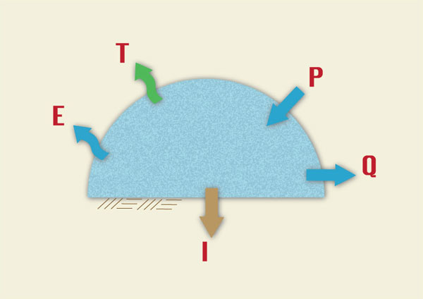 Components of precipitation for a catchment water balance that excludes groundwater