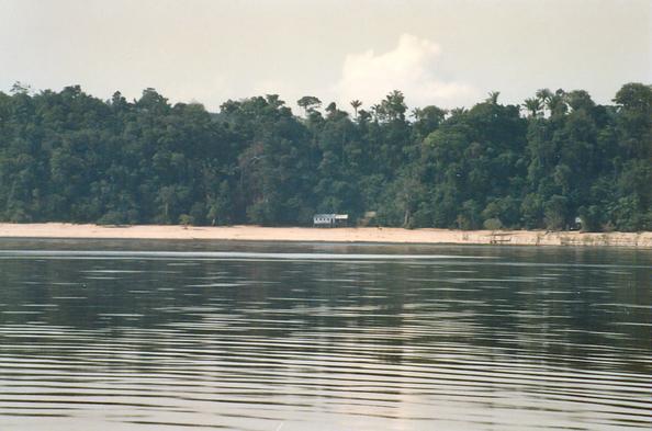 Shores of the Rio Negro, near Manaus, Amazonas, Brazil (1989)