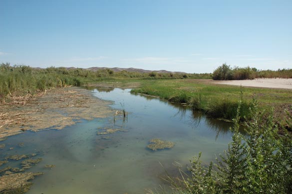 Gila river near Wellton, Arizona (2007)