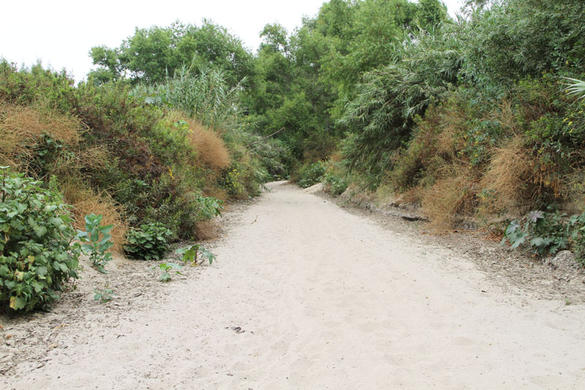 Smugler's Gulch, at Tijuana river estuary, California (2010)
