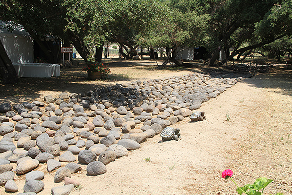 Paved stream at Rancho La Ciénaga, Valle de Guadalupe, Baja California, Mexico (2013)