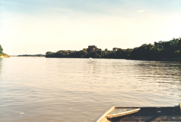 Rio Cuiab&aacute;, Mato Grosso, Brazil (1988)