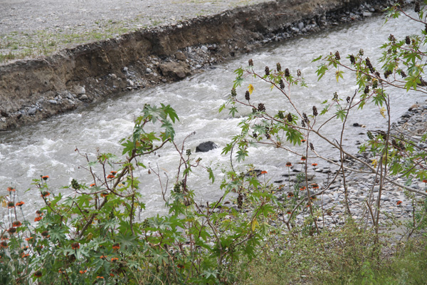 Rio Malacatos, at Malacatos, Loja, Ecuador (2014)
