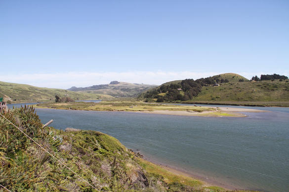 Russian river near its mouth, California (2010)